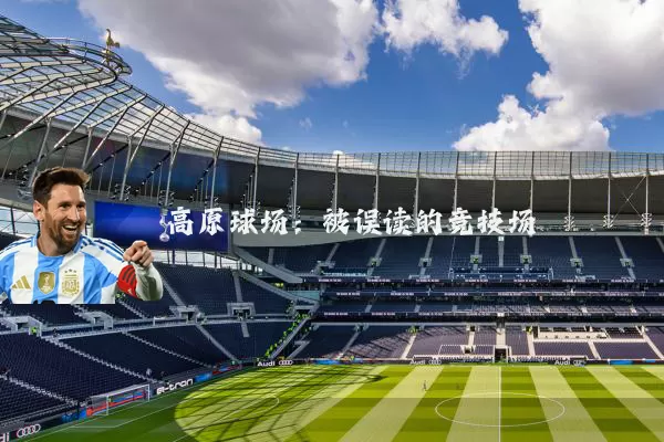 高原球场：被误读的竞技场